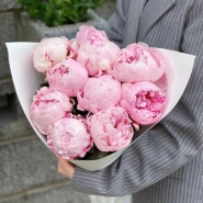 9 розовых пионов Сара Бернар 0