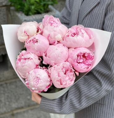 9 розовых пионов Сара Бернар