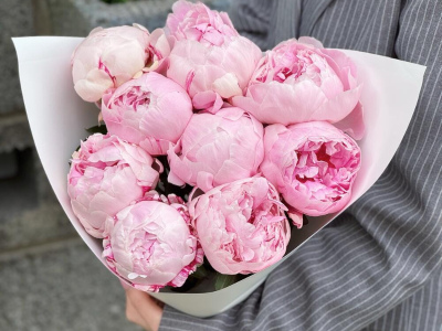 9 розовых пионов Сара Бернар