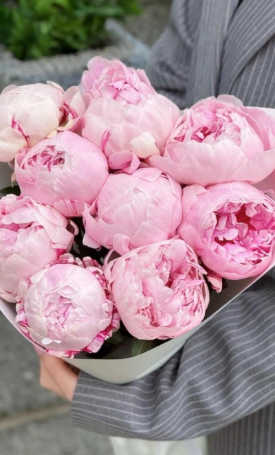 9 розовых пионов Сара Бернар