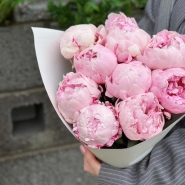 9 розовых пионов Сара Бернар 2