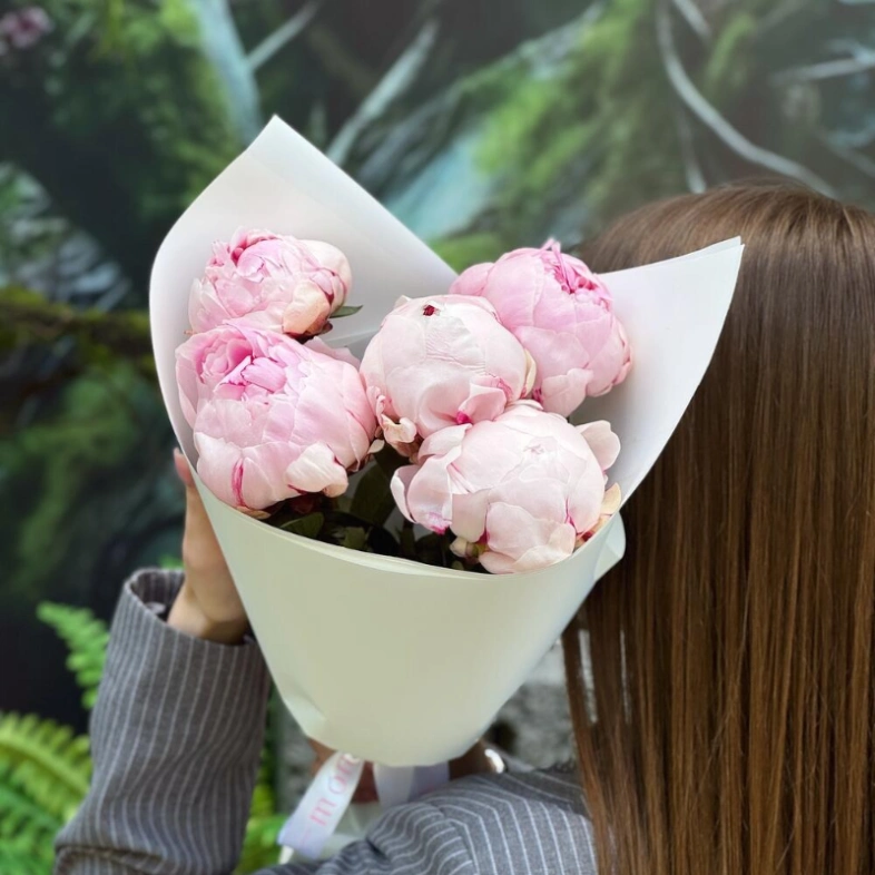 5 розовых пионов Сара Бернар