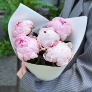 5 розовых пионов Сара Бернар 0