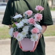 Диантусы и кустовая хризантема в сумочке 2