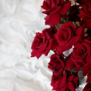 Коробка красных францу́зских роз 51 1