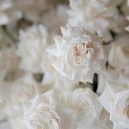 Композиция из белых французских роз 51 2