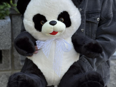 Мишка Панда вегетарианец - любит бамбуковые листья