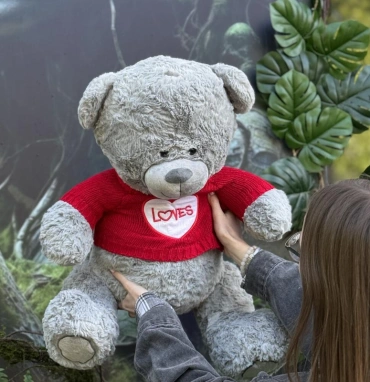 Плюшевый медвед