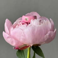 Кольцо с цирконом Пинк 🩷 2