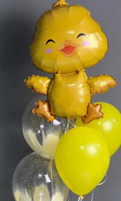 Сет Шаров Утенок