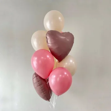 Сет воздушных Шаров «Макаронс»