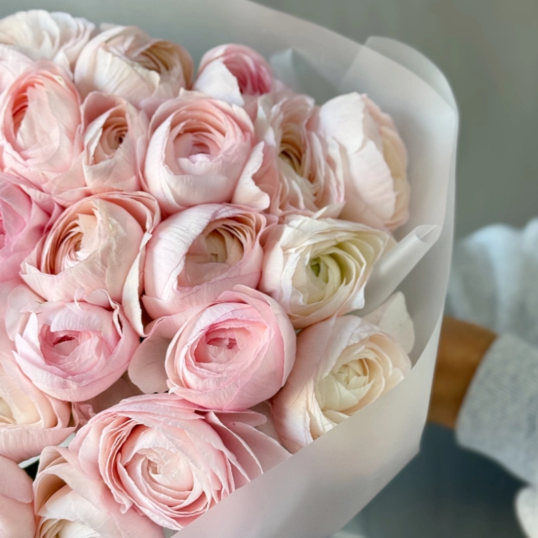 Любимые ранункулюсы 25