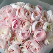 Любимые ранункулюсы 25 3