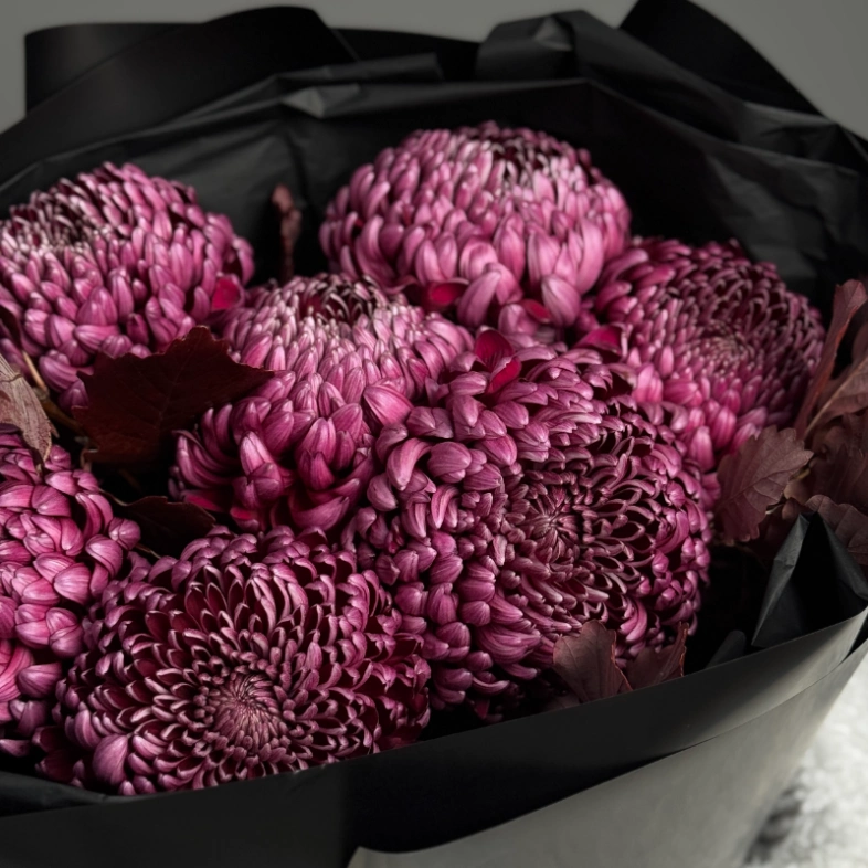 Моно из хризантемы Бигуди