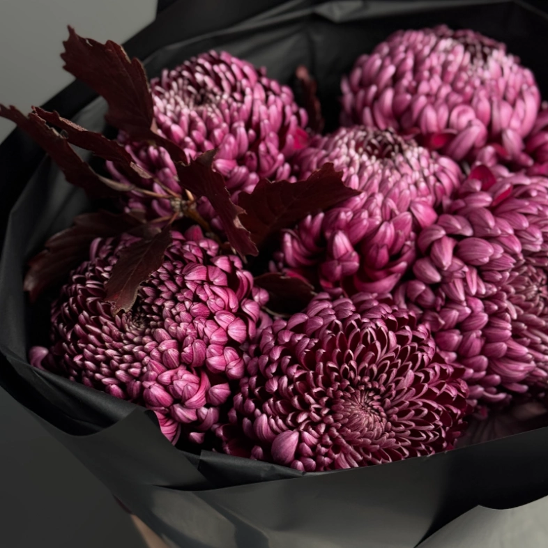 Моно из хризантемы Бигуди