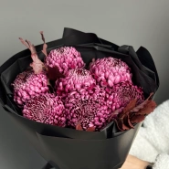 Моно из хризантемы Бигуди 1