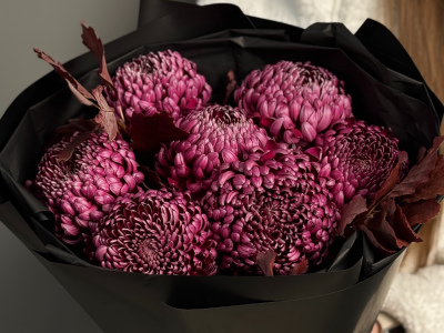 Моно из хризантемы Бигуди