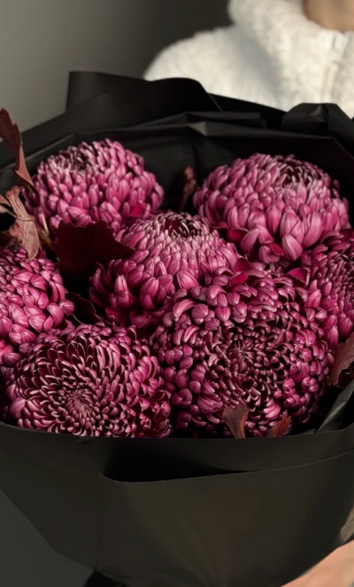 Моно из хризантемы Бигуди