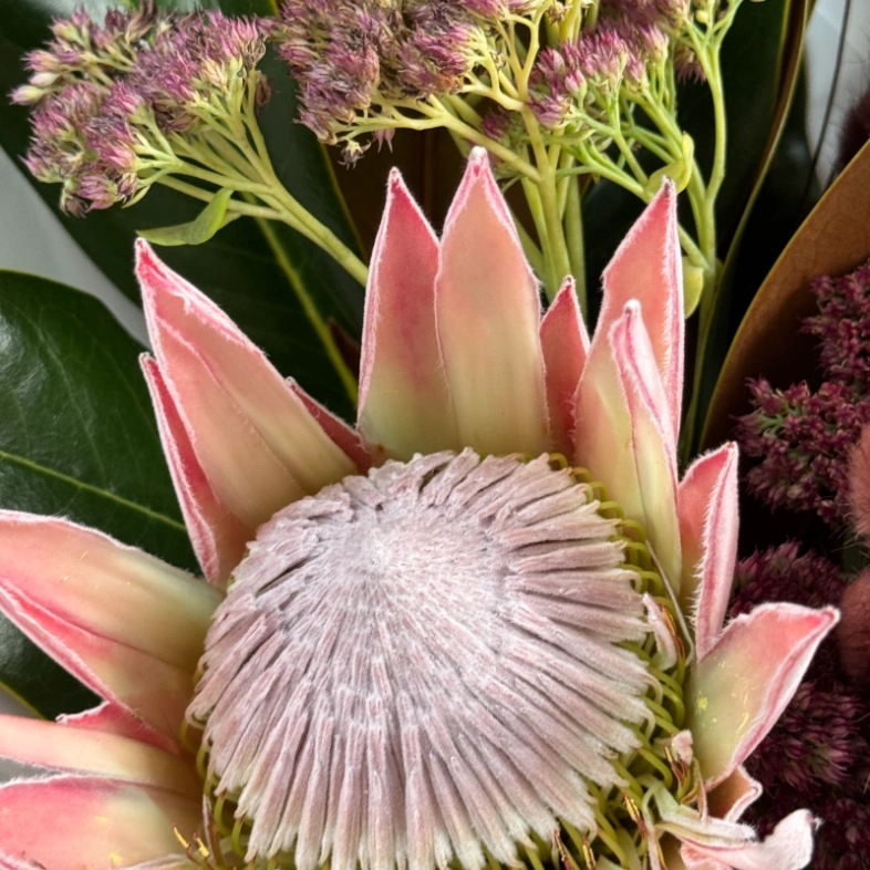 Экзотический букет с протеей и одноголовой хризантемой