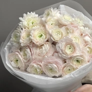 WOW- букет из нежнейших Ранункулюсов 0