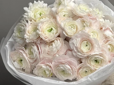 WOW- букет из нежнейших Ранункулюсов