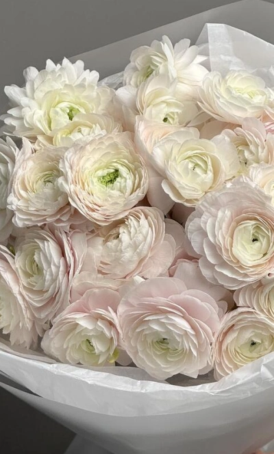 WOW- букет из нежнейших Ранункулюсов