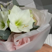 Амариллис с эвкалиптом 🤍 4