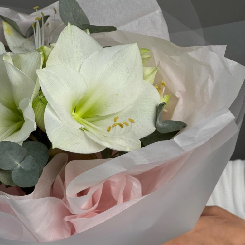 Амариллис с эвкалиптом 🤍