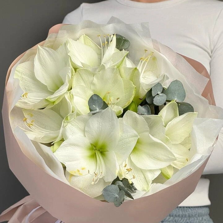 Моно из амариллисов