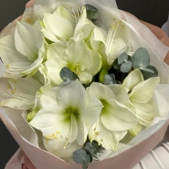 Моно из амариллисов 1