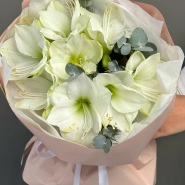 Моно из амариллисов 2