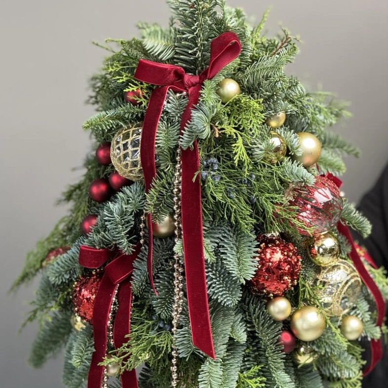 Новогодняя елка из даткой ели сорта Нобилис