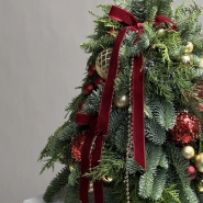 Новогодняя елка из даткой ели сорта Нобилис 1