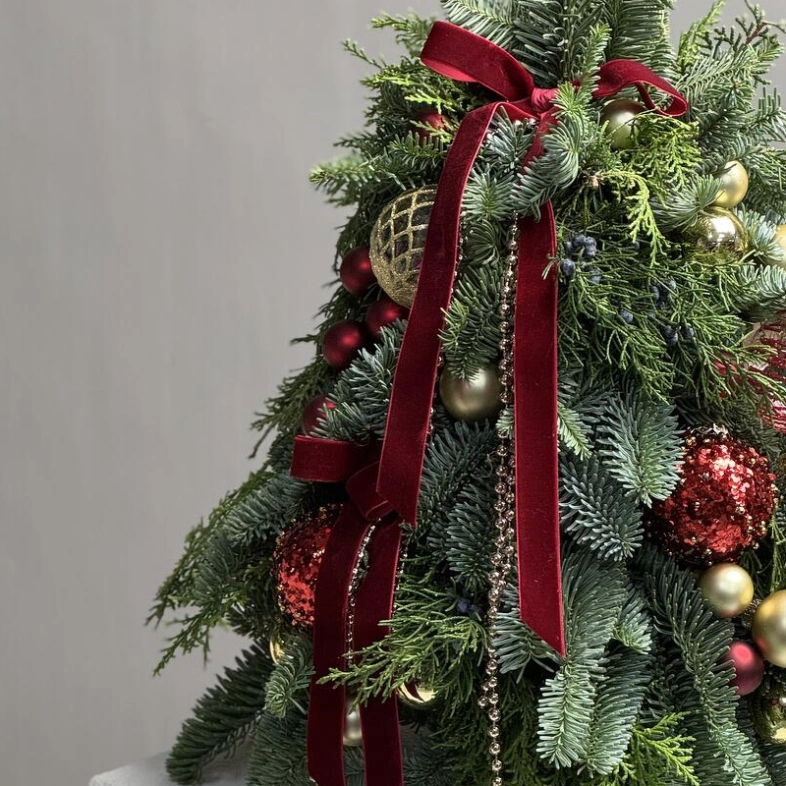 Новогодняя елка из даткой ели сорта Нобилис