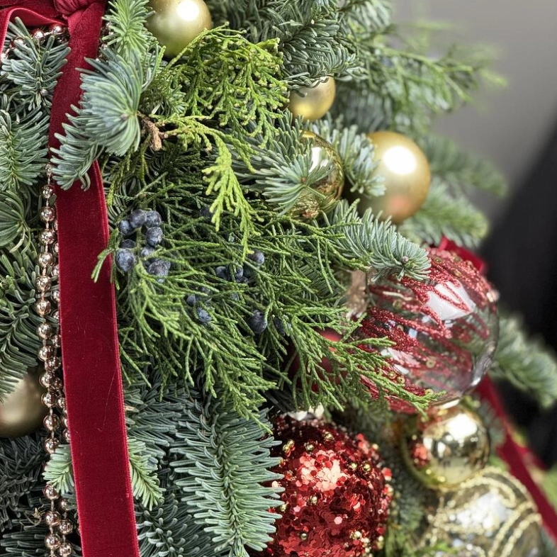 Новогодняя елка из даткой ели сорта Нобилис