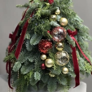 Новогодняя елка из даткой ели сорта Нобилис 0