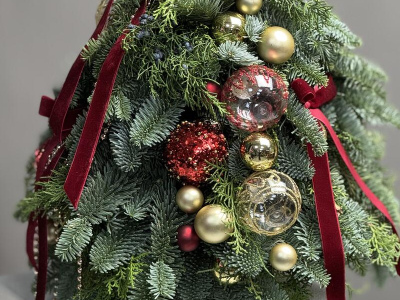 Новогодняя елка из даткой ели сорта Нобилис