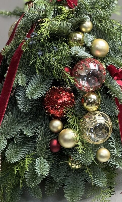 Новогодняя елка из даткой ели сорта Нобилис