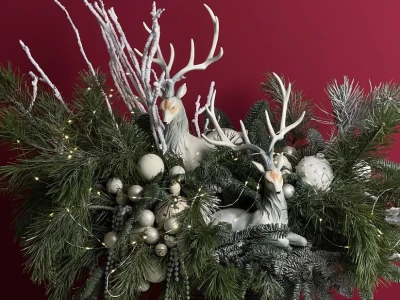 WOW-композиция из нобилиса