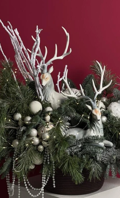 WOW-композиция из нобилиса