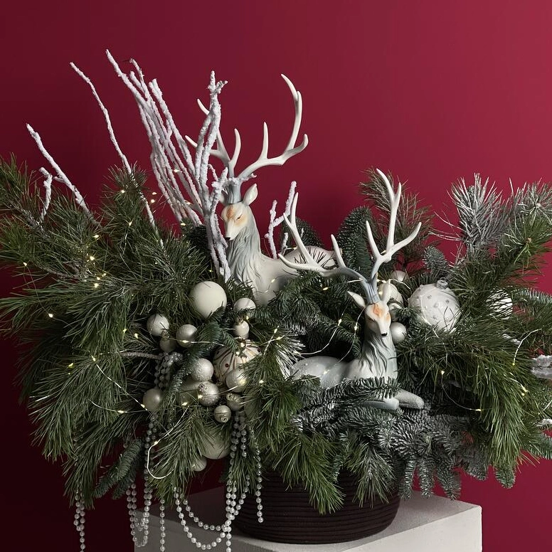 WOW-композиция из нобилиса