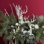 WOW-композиция из нобилиса 1