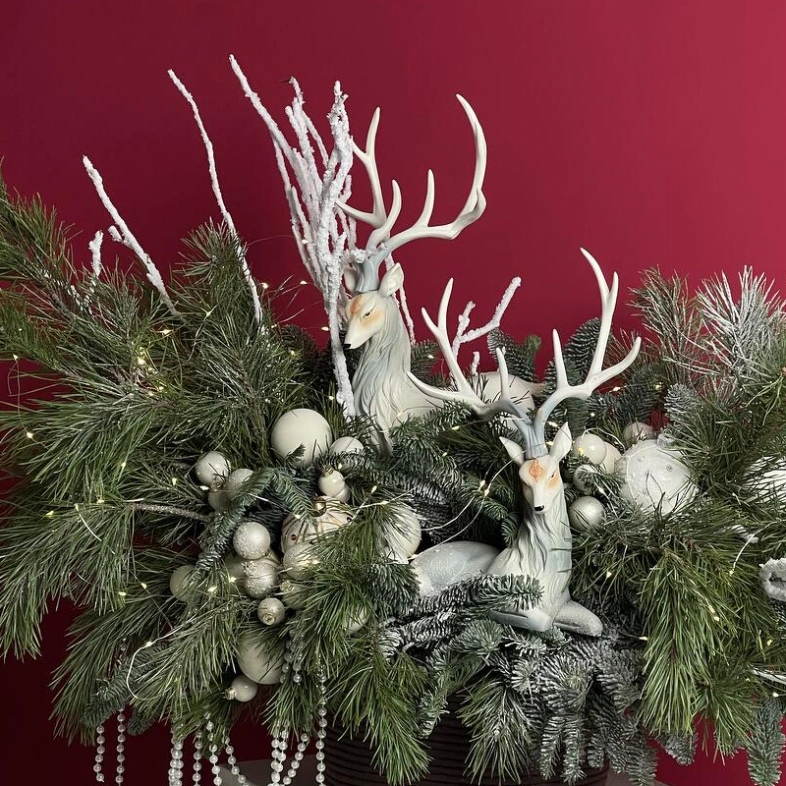 WOW-композиция из нобилиса