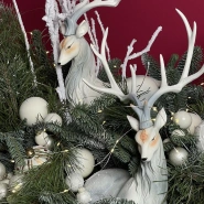 WOW-композиция из нобилиса 4