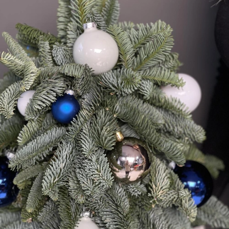 Авторская елочка из нобилиса