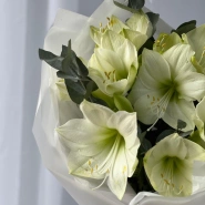 Моно букет с Амариллисами 2