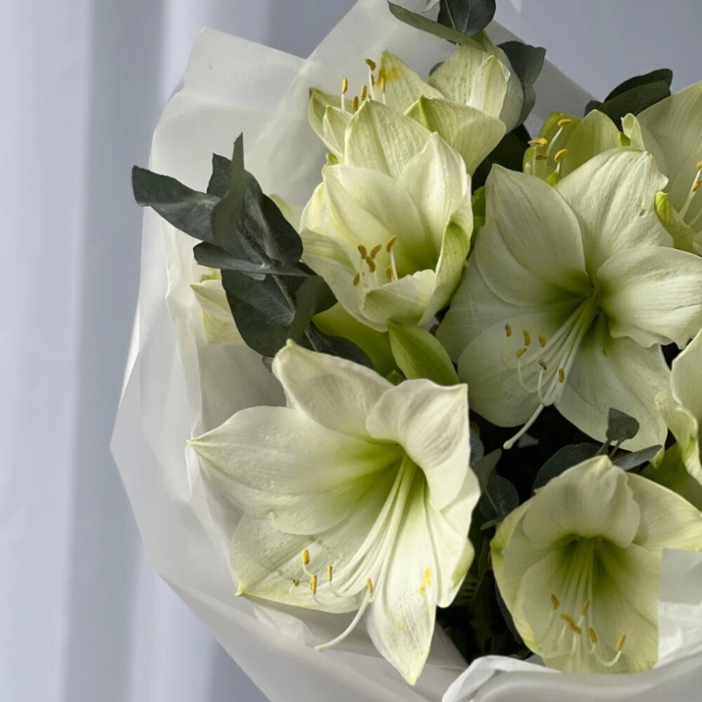 Моно букет с Амариллисами