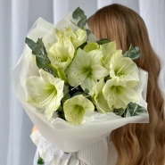 Моно букет с Амариллисами 1