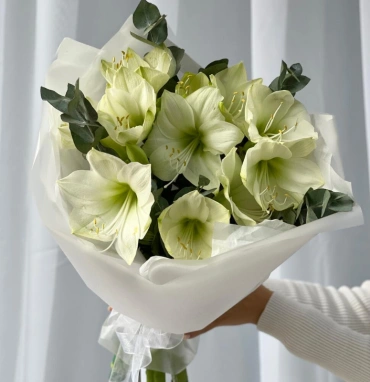 Моно букет с Амариллисами