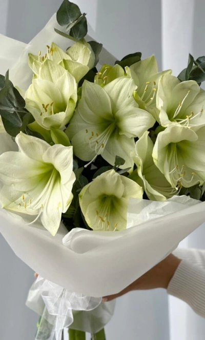 Моно букет с Амариллисами